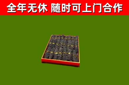 榕江回收海参